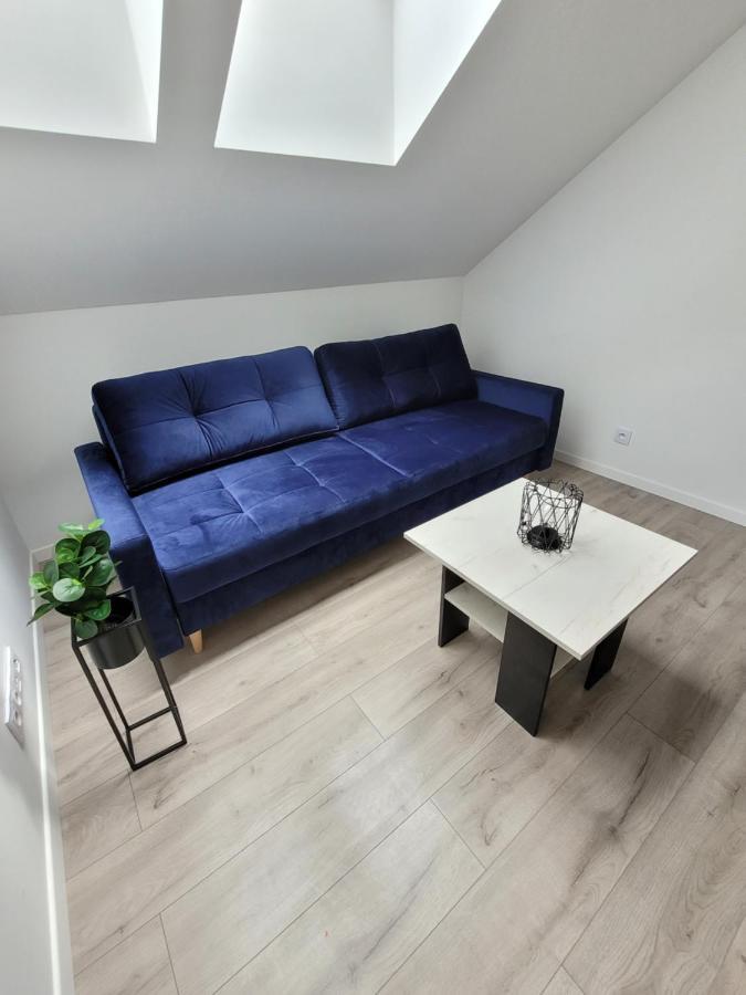Apartament Uroczy W Kamienicy Nr. 8