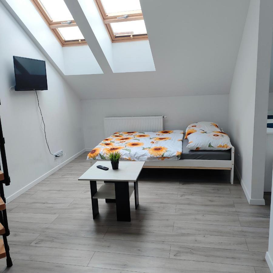 Uroczy W Kamienicy Nr. 8 Apartament Kraków